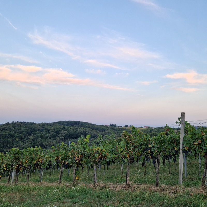 Blick vom Hannersberg