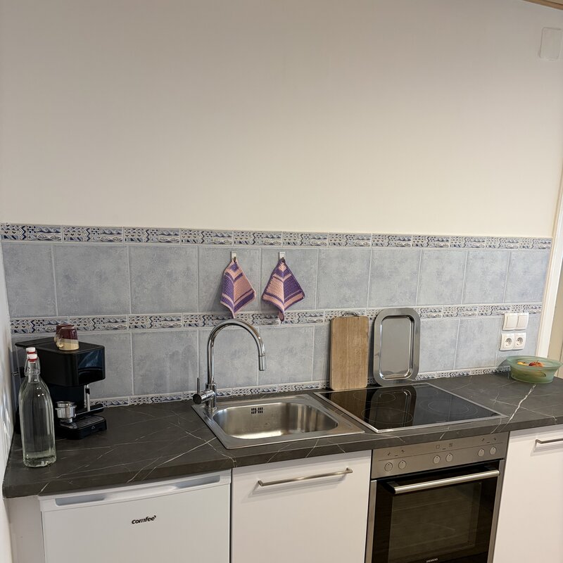 Kuechenzeile mit Kuehlschrank, Geschirrspueler Backofen, Essplatz in der Kueche der Wohnung Holler im Langerhof Hannersdorf, Suedburgenland