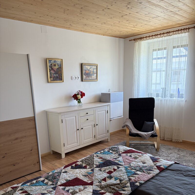 Wohnschlafzimmer mit Schrank, Anrichte, Sessel und Klimaanlage in der Wohnung Holler im Langerhof Hannersdorf Suedburgenland