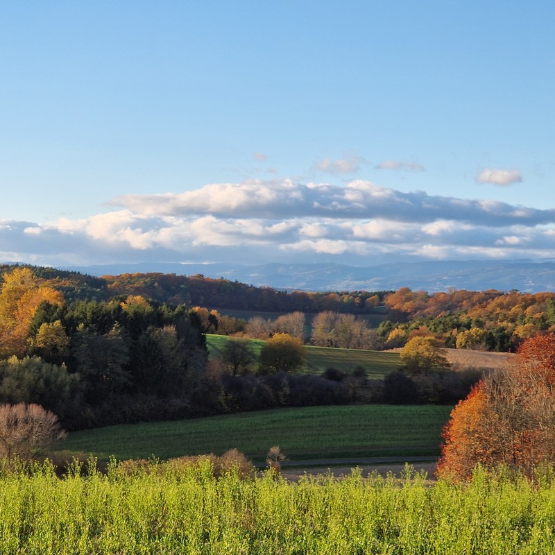 Herbstlandschaft im Südburgenland 
