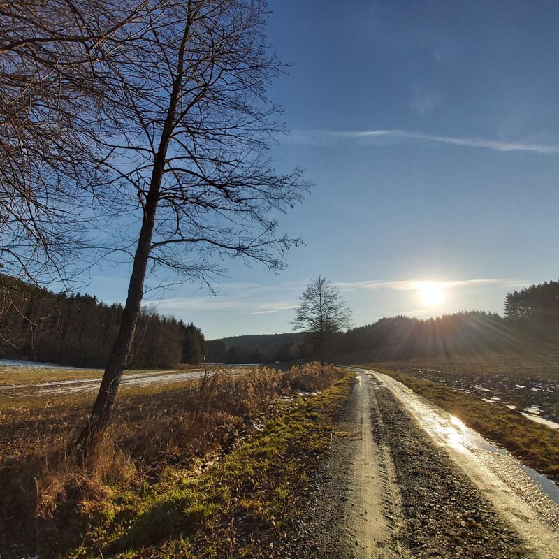 Winterliches Tal bei Hannersdorf