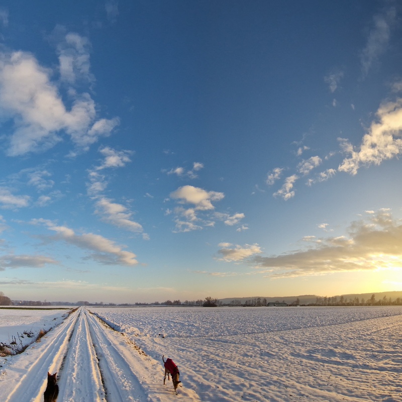 Winterspaziergang im Südburgenland