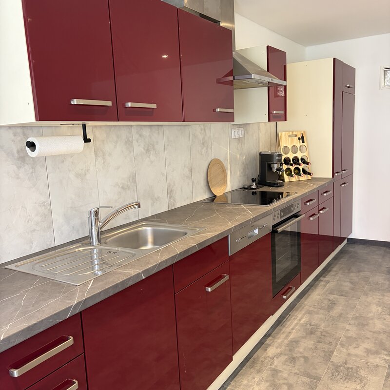Komplett ausgestattete Küchenzeile in der Wohnküche der Wohnung Dost im Langerhof Hannersdorf, SüdBurgenland
