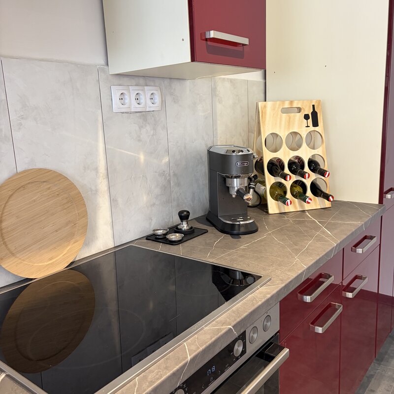 Ceranfeld, Backofen, Dunstabzug, Geschirrspüler, Kühlschrank in der Wohnküche in der Wohnung Dost im Langerhof, Hannersdorf, Südburgenland